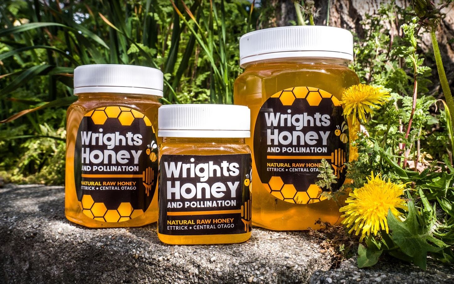 Natural Raw Clover Honey - 3 Honey by Wrights
