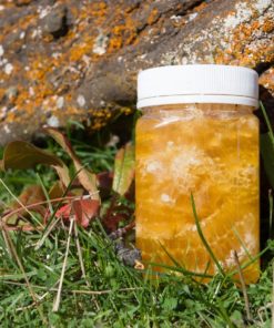 Clover Honey in Honeycomb made by Honey by Wrights in Central Otago, New Zealand - 4