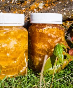 Manuka Honey in Honeycomb made by Honey by Wrights in Central Otago, New Zealand-2